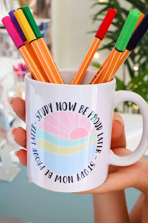 STUDY NOW TASSE